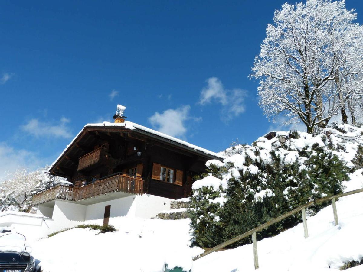 Chalet 8 Pers, Proche Pistes, 3***, Balcon, Cheminee - Fr-1-304-243 Villa La Clusaz Kültér fotó